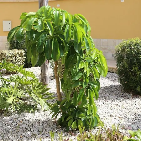 L'oasi Di Ciccio Appartement