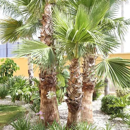 L'oasi Di Ciccio Appartement
